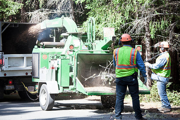 Best Aeration Services  in Heber Overgaard, AZ